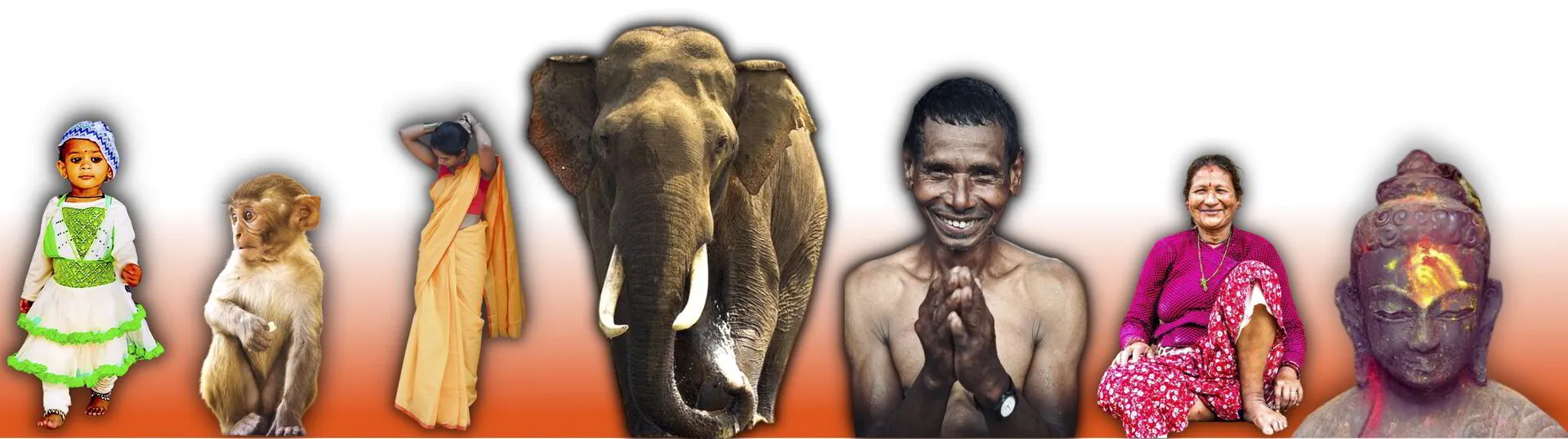 Singing with Elephants