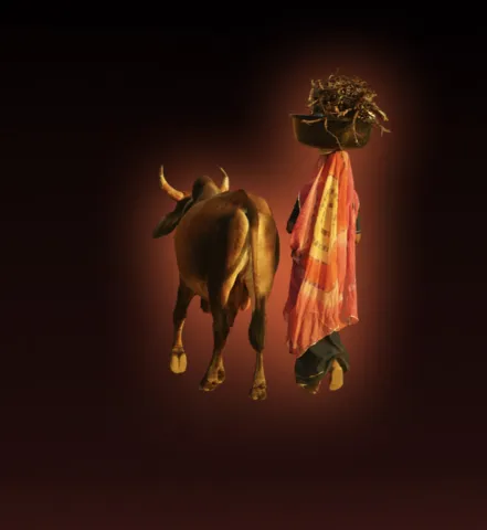Tribal Worlds of Rajasthan