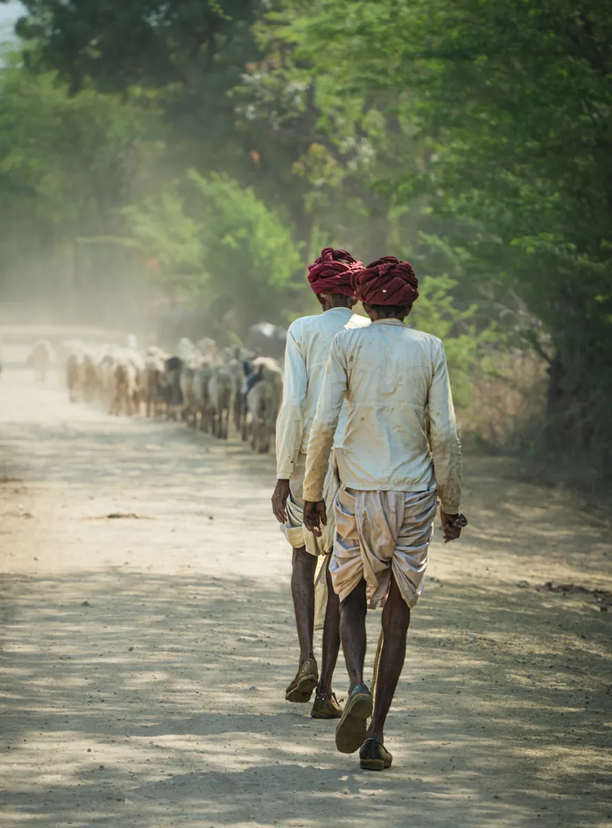 Rabari Herders_Tribal Worlds_Jawai, Rajasthan