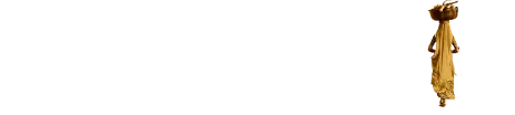 Vanishing India