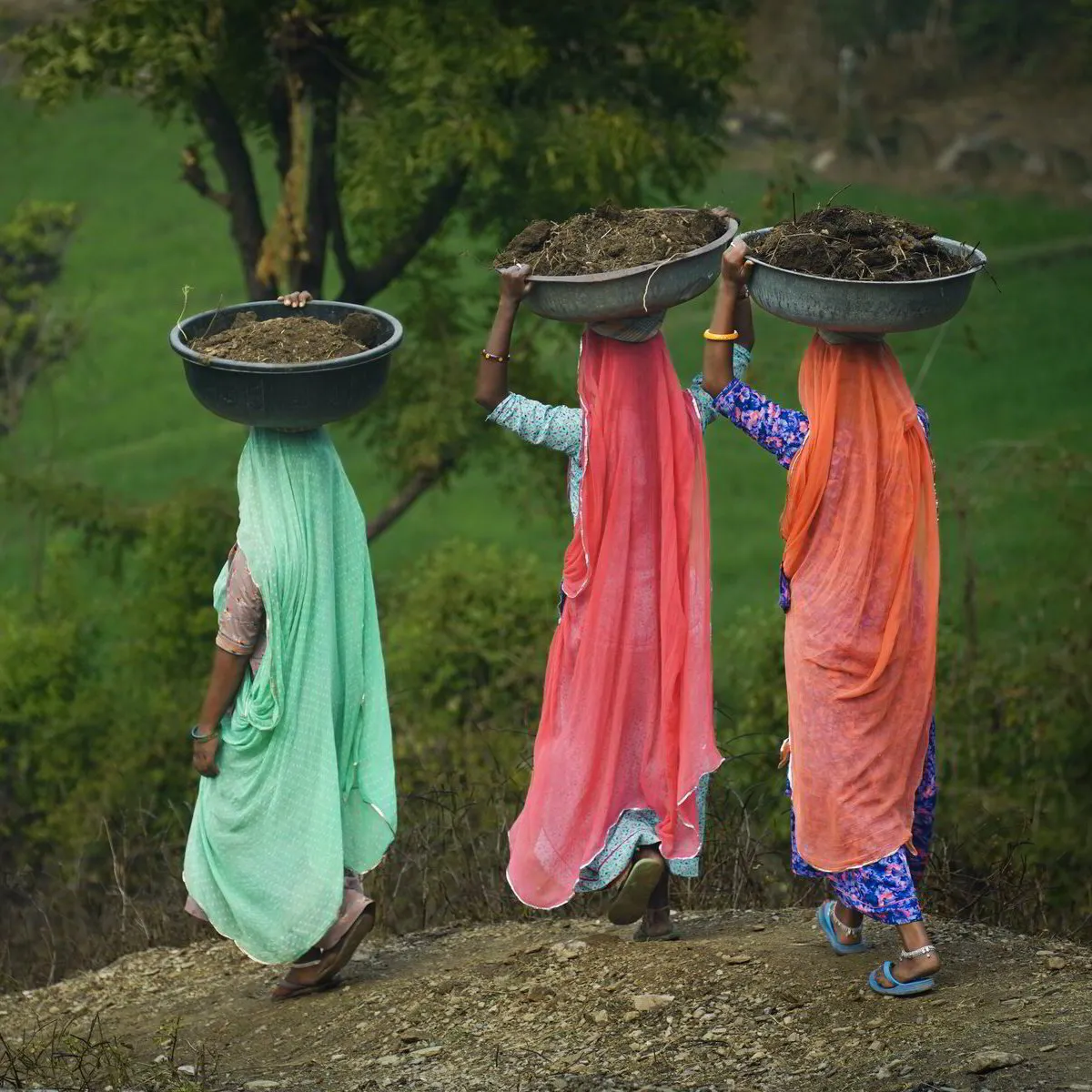 Collecting Manure_Tribal Worlds_Udaipur