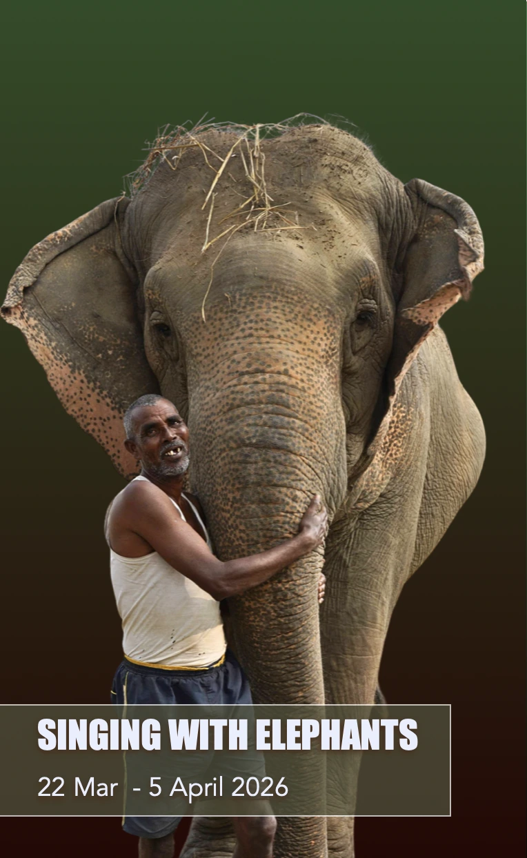 Rescue Elephants_Singing With Elephants_Nepal