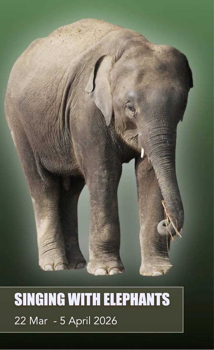 Single Supplement - Singing With Elephants - USD